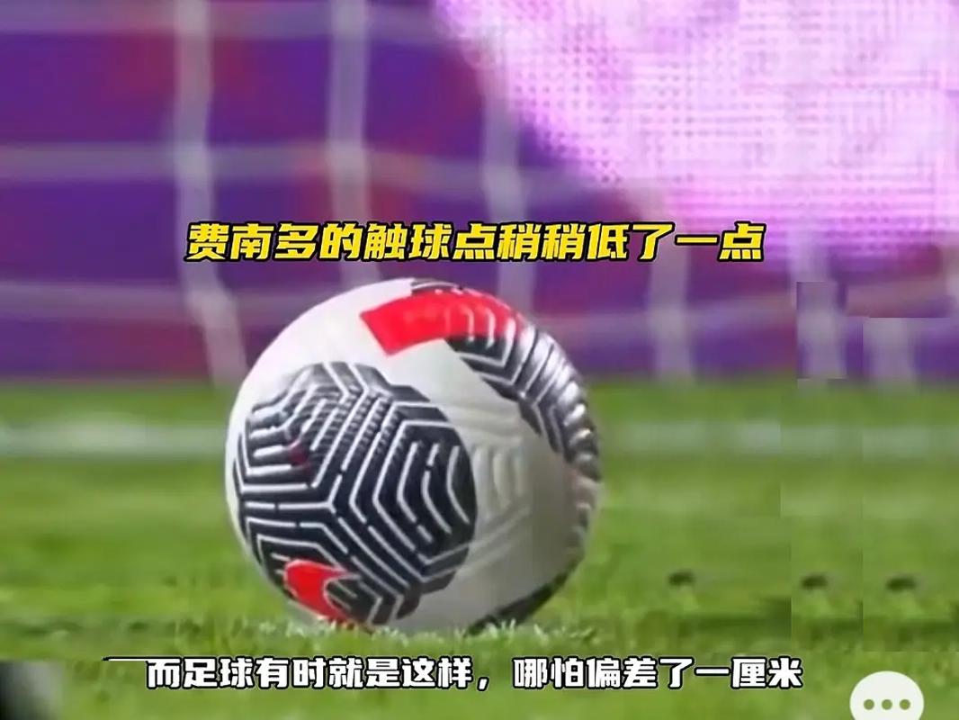 他们显得有