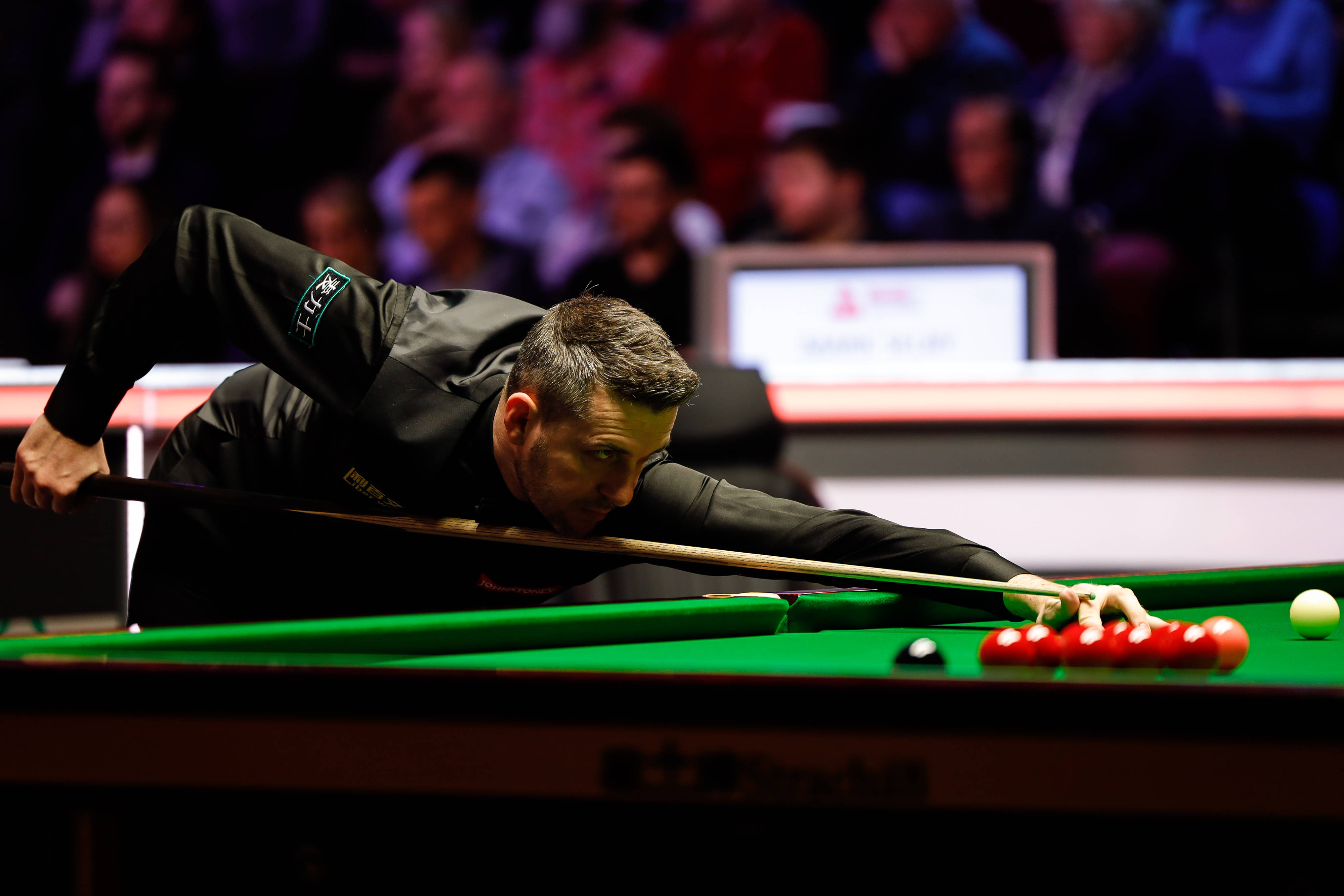 经开始为自 经开始为自