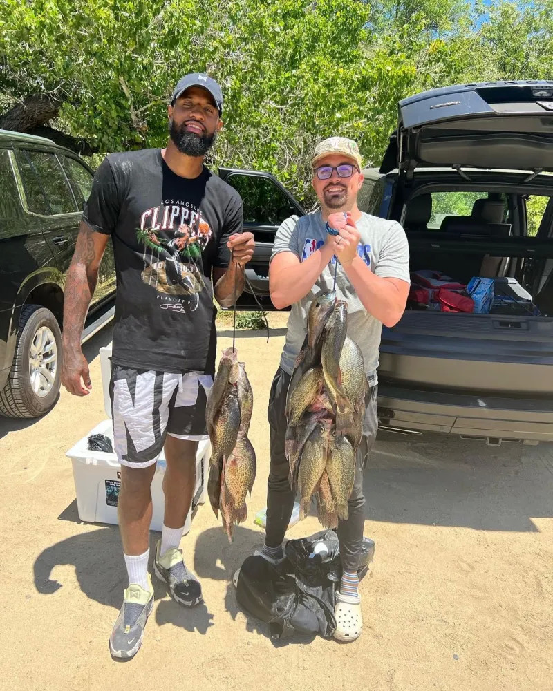 这些数据往 这些数据往