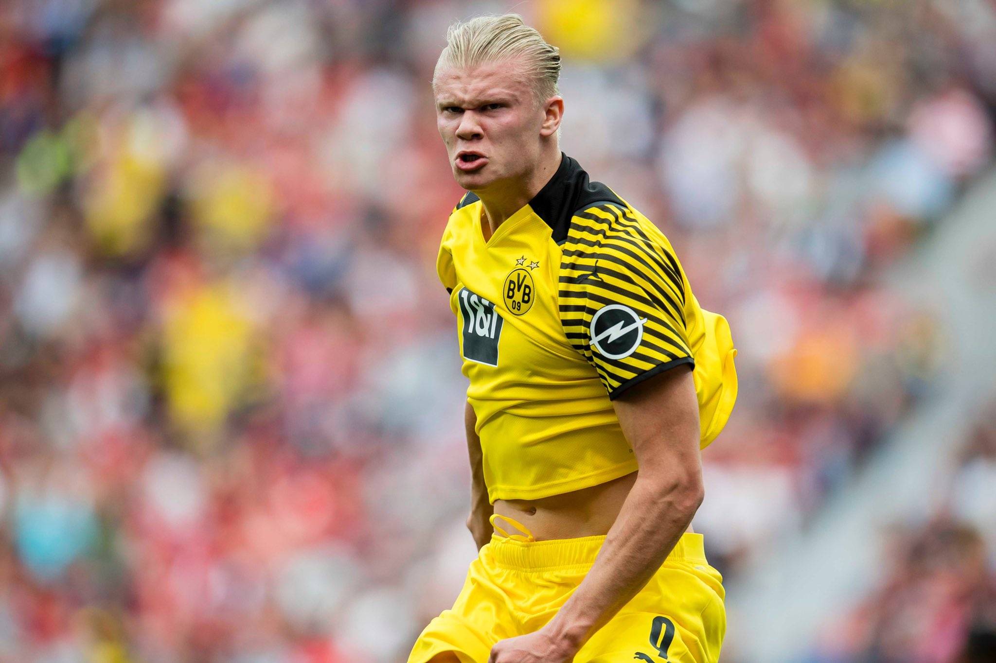 率与斜线 率与斜线